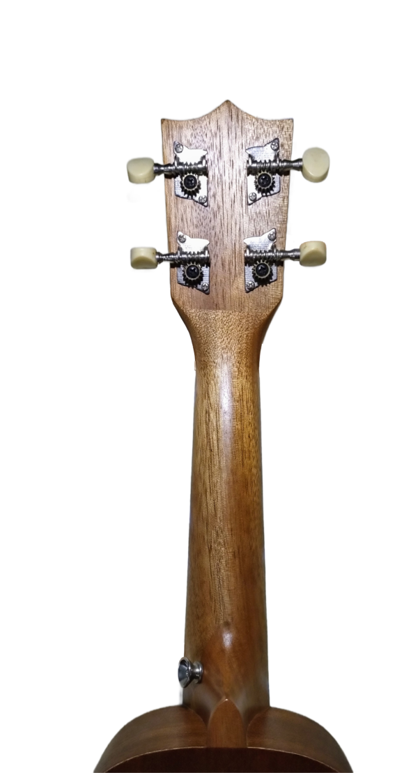 Ukulele 2